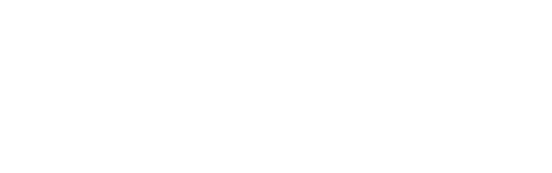 zoomail